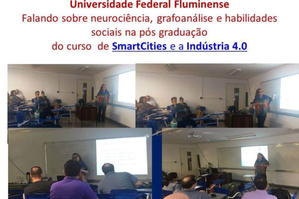 Universidade Federal Fluminense do Rio de Janeiro - 2019